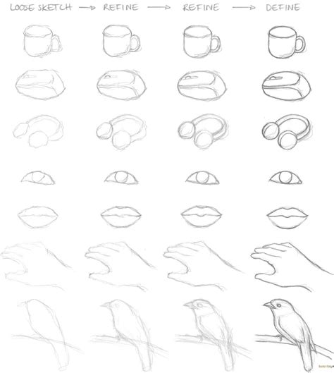 sketch for beginners step by steps.